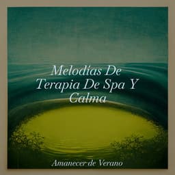 Melodías De Terapia De Spa Y Calma - El hada de las canciones de cuna