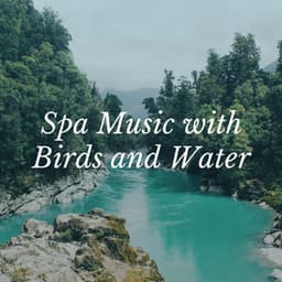 Spa Music with Birds and Water - Spa Radio Collection