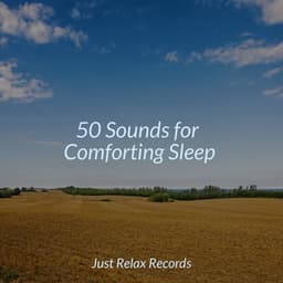 50 Sounds for Comforting Sleep - Schlaflieder Für Kinder
