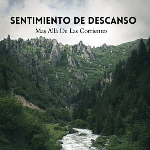Sentimiento De Descanso Mas Allá De Las Corrientes - Estados de ánimo y sonidos de agua