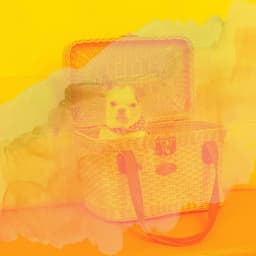 Music for Separation Anxiety - Mind-blowing Trumpet Jazz - Relaxing Dog Music