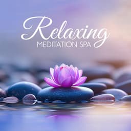 Relaxing Meditation Spa - Well-Being Center