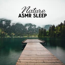 Nature ASMR Sleep: Relaxing Tones, Morning Sound Bath - Nature Meditation Academy