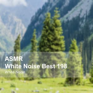 White Noise ASMR Best 198 - White Noise