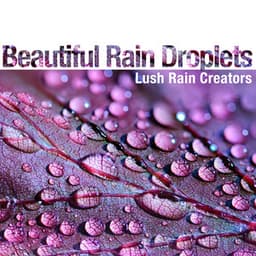 Beautiful Rain Droplets - Lush Rain Creators
