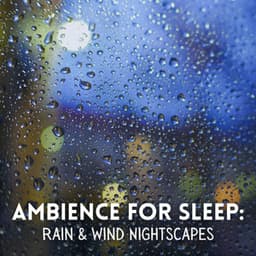Ambience for Sleep: Rain & Wind Nightscapes - Calm Rain for Sleep