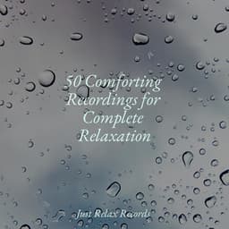 50 Comforting Recordings for Complete Relaxation - Sonidos De Lluvia y Tormentas