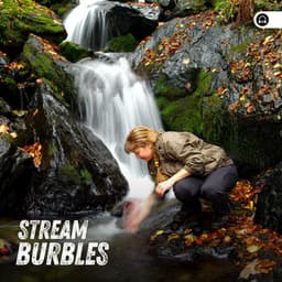 Stream Burbles - Water Meditations