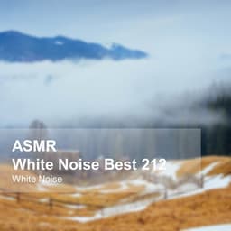 White Noise ASMR Best 212 - White Noise