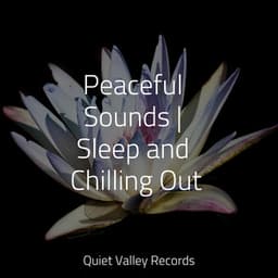 Peaceful Sounds | Sleep and Chilling Out - Schlaflieder Für Kinder