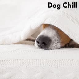 Dog Chill - Relajado Musica Relajante para Perros
