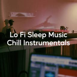 Lo Fi Sleep Music - Lo-Fi for Studying