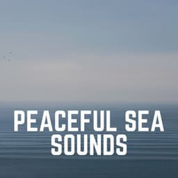 Peaceful Sea Sounds - Coast to Coast Recordings