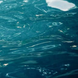 1 Mile Below: Beyond The Pier - Seascapers