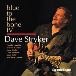 Blue To The Bone IV - Dave Stryker