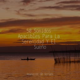 50 Sonidos Apacibles Para La Serenidad Y El Sueño - Calm Music for Studying