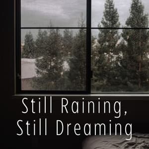 Still Raining, Still Dreaming - Organic Nature Sounds