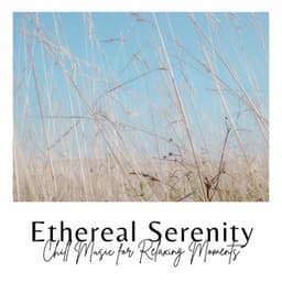 Ethereal Serenity: Chill Music for Relaxing Moments - Tender Moments