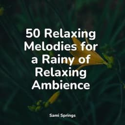 50 Relaxing Melodies for a Rainy of Relaxing Ambience - Pro Sound Effects Library