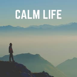 Calm Life - Zen