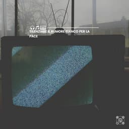 Silenziare il Rumore Bianco per La Pace - Rumore Bianco