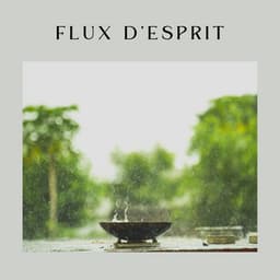 Flux d'esprit - Chute de Pluie