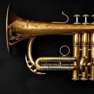 Relaxing Orchestra Tunes for Happy Pets - Charles Anderson