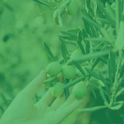 Music for Yoga Nidra - ASMR Music - Yoga Music Play List