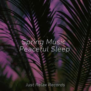 Spring Music Peaceful Sleep - Happy Baby Lullaby Collection