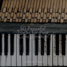50 Peaceful Tracks for Pure Concentration - SD