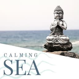 Calming Sea: Blue Sky, Sun and Beach, Relaxing Sounds for Meditation, Yoga, Reading, Sleep, Study and Learn - Soothing Music for Sleep Academy