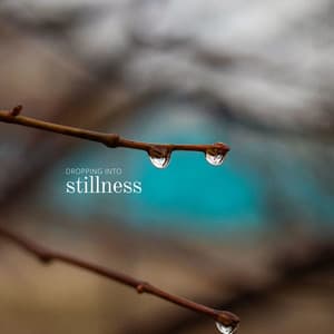Dropping into Stillness - Robin Gardner