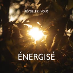 Réveillez-vous énergisé : Musique relaxante pour une soirée calme, Sommeil et soulagement du stress, Pleine conscience avant de dormir - Oasis Relaxante Pour Dormir