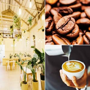 Music for Downing Espresso - Restaurant Music Lounge