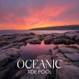 Oceanic Tide Pool: Restful Nature Collection, Night Slumber, Ocean Ambience - Tropical Ocean Waves Oasis