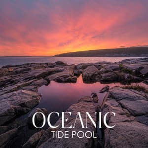 Oceanic Tide Pool: Restful Nature Collection, Night Slumber, Ocean Ambience - Tropical Ocean Waves Oasis