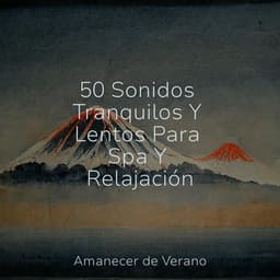 50 Sonidos Tranquilos Y Lentos Para Spa Y Relajación - Guitarra Clásica Española