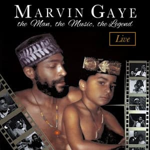 The Man, the Music, the Legend - Marvin Gaye