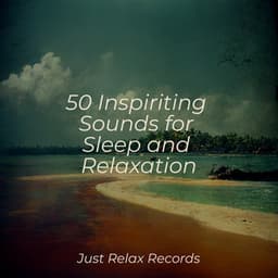 50 Inspiriting Sounds for Sleep and Relaxation - Nursery Rhymes Club