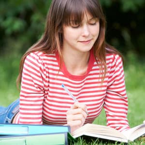 Forest Insect Reverie: Nature Sounds for Productive Study - Sounds of the Forest