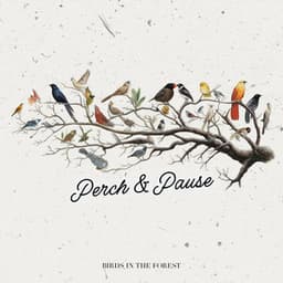 Perch & Pause - Birds In The Forest