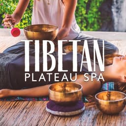 Tibetan Plateau Spa: Paradise of Tibet, Healing Sounds of Bells and Bowls for Meditative Experience - Buddhist Meditation Music Set