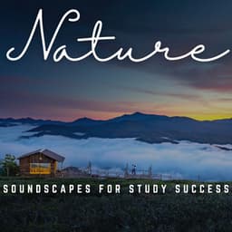 Academic Ambiance: Soundscapes for Study Success - 101 Noise