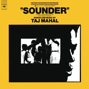 Sounder - Taj Mahal