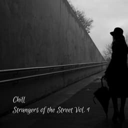 Chill: Strangers of the Street Vol. 1 - Lofi Beats