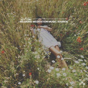 Relaxing Meditation Music Sounds - Sleep Music Dreams