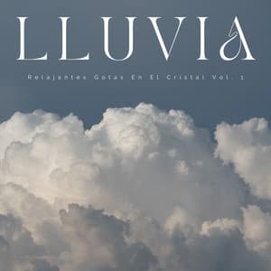 Lluvia: Relajantes Gotas En El Cristal Vol. 1 - Muestreo de lluvia profunda