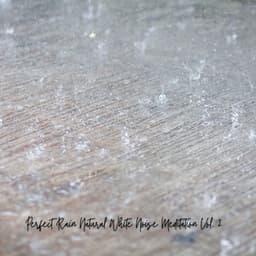 Perfect Rain Natural White Noise Meditation Vol. 2 - White Noise