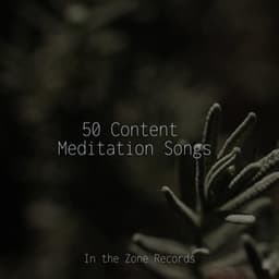 50 Content Meditation Songs - kinderliedjes