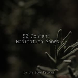 50 Content Meditation Songs - Kinderliedjes